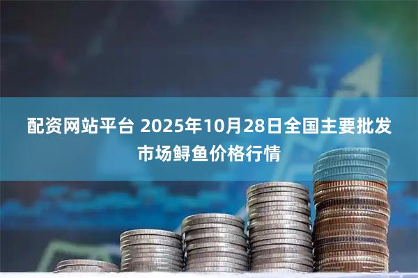 配资网站平台 2025年10月28日全国主要批发市场鲟鱼价格行情