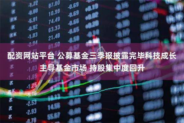 配资网站平台 公募基金三季报披露完毕科技成长主导基金市场 持股集中度回升