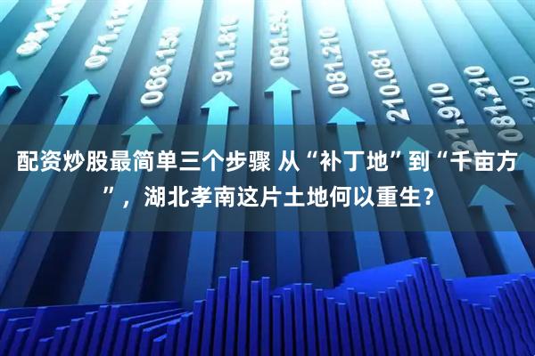 配资炒股最简单三个步骤 从“补丁地”到“千亩方”，湖北孝南这片土地何以重生？