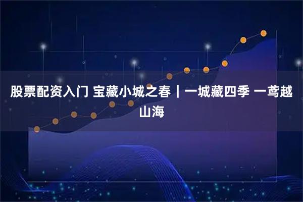股票配资入门 宝藏小城之春｜一城藏四季 一鸢越山海