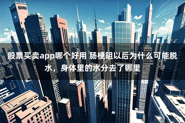 股票买卖app哪个好用 肠梗阻以后为什么可能脱水，身体里的水分去了哪里